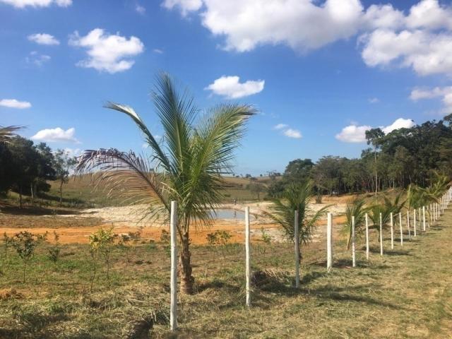 #245 - Terreno para Venda em Rio das Ostras - RJ - 1