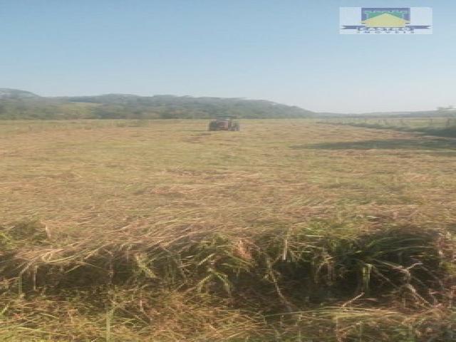 #354 - Terreno para Venda em Rio das Ostras - RJ - 1