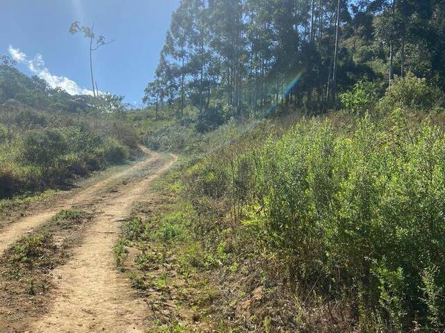Área para Venda em Trajano de Morais - 5